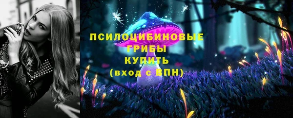 PSILOCYBIN Богородицк